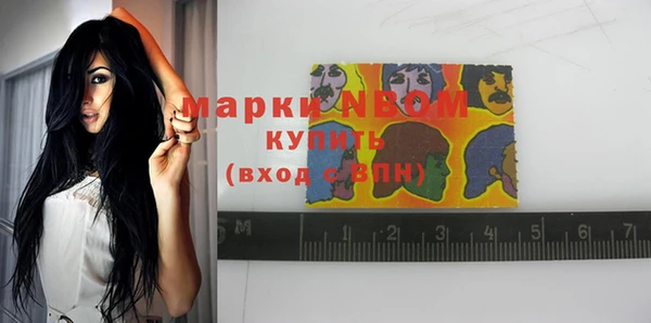 кокс Елизово