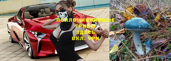мяу мяу мука Заводоуковск