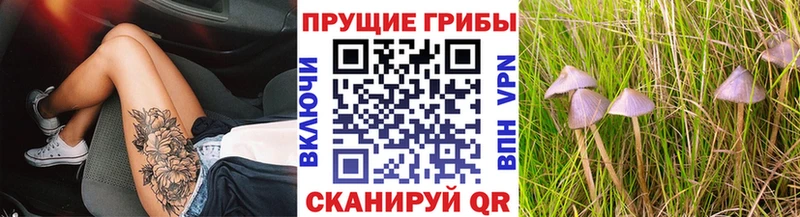 Купить закладки Краснокамск Псилоцибиновые грибы мухоморы